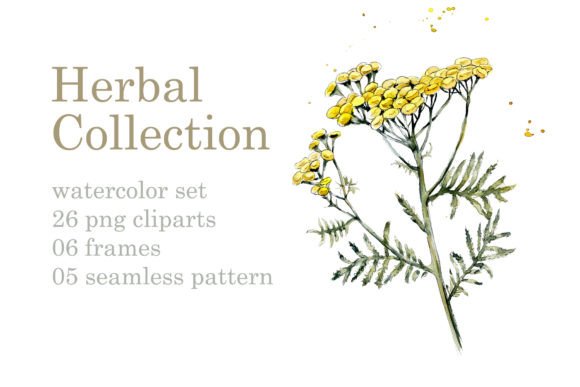 Download Collection Herb - Collection Collection