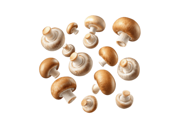 Download Flying Champignon Mushrooms PNG - Champignon Collection