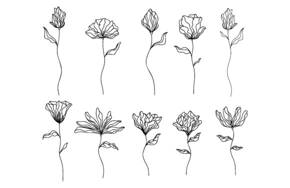 Download Collection of Hand Drawn Flowers - Collection Collection