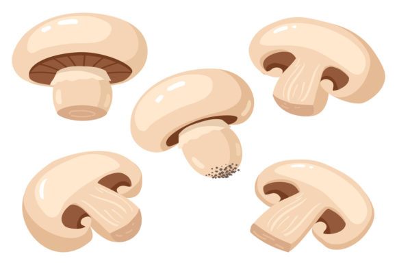 Download Cartoon Champignon - Champignon Collection