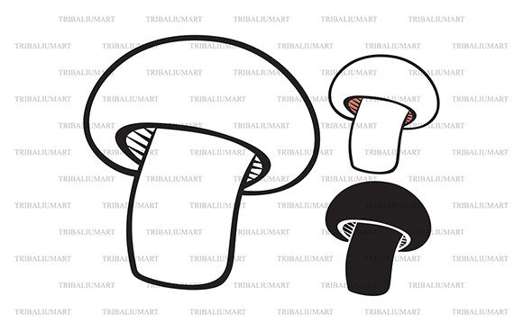 Download Champignon Mushroom - Champignon Collection